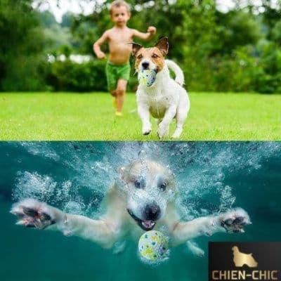 JOUETS - CHIEN-CHIC